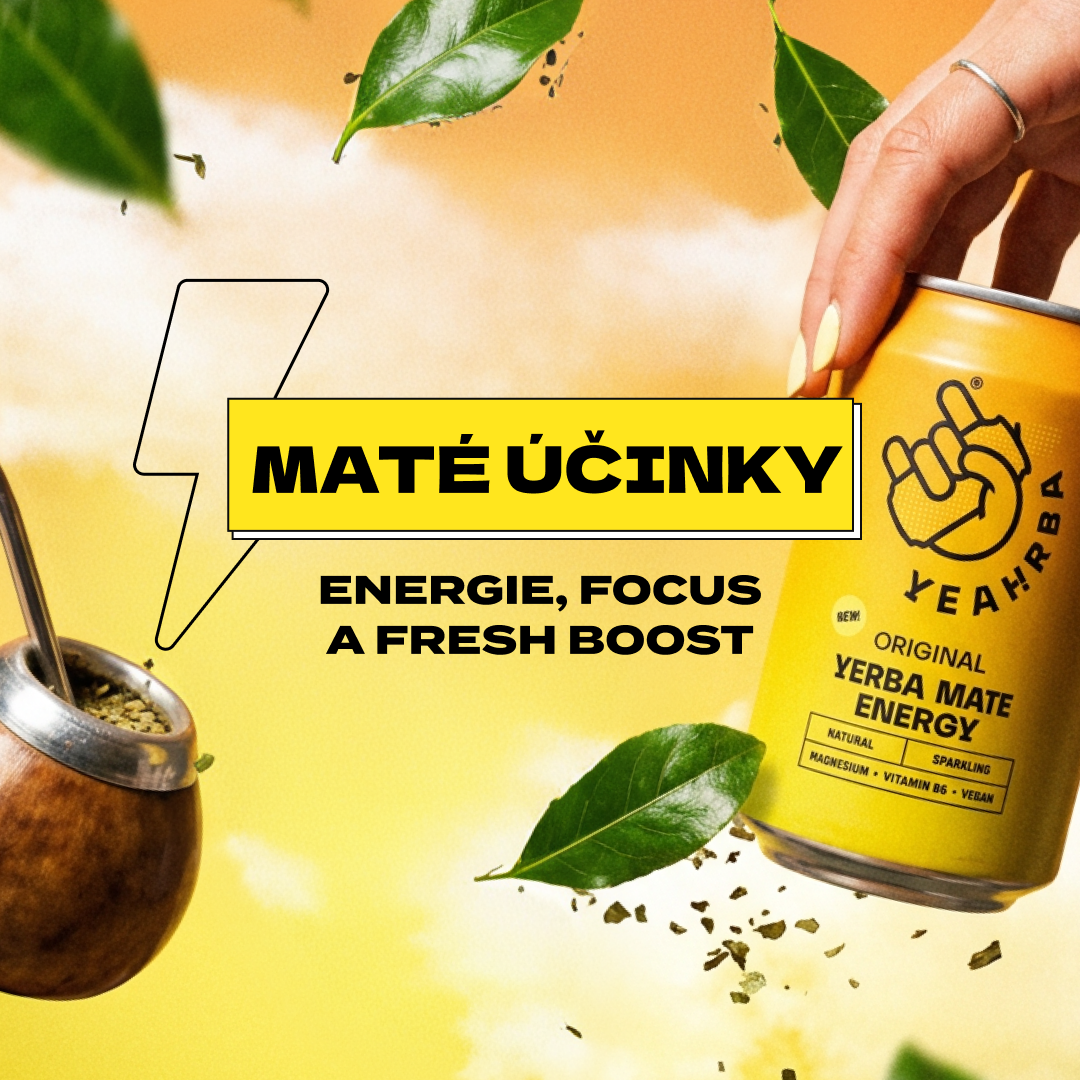 Yerba maté účinky: energie, focus a fresh boost pro tělo i hlavu
