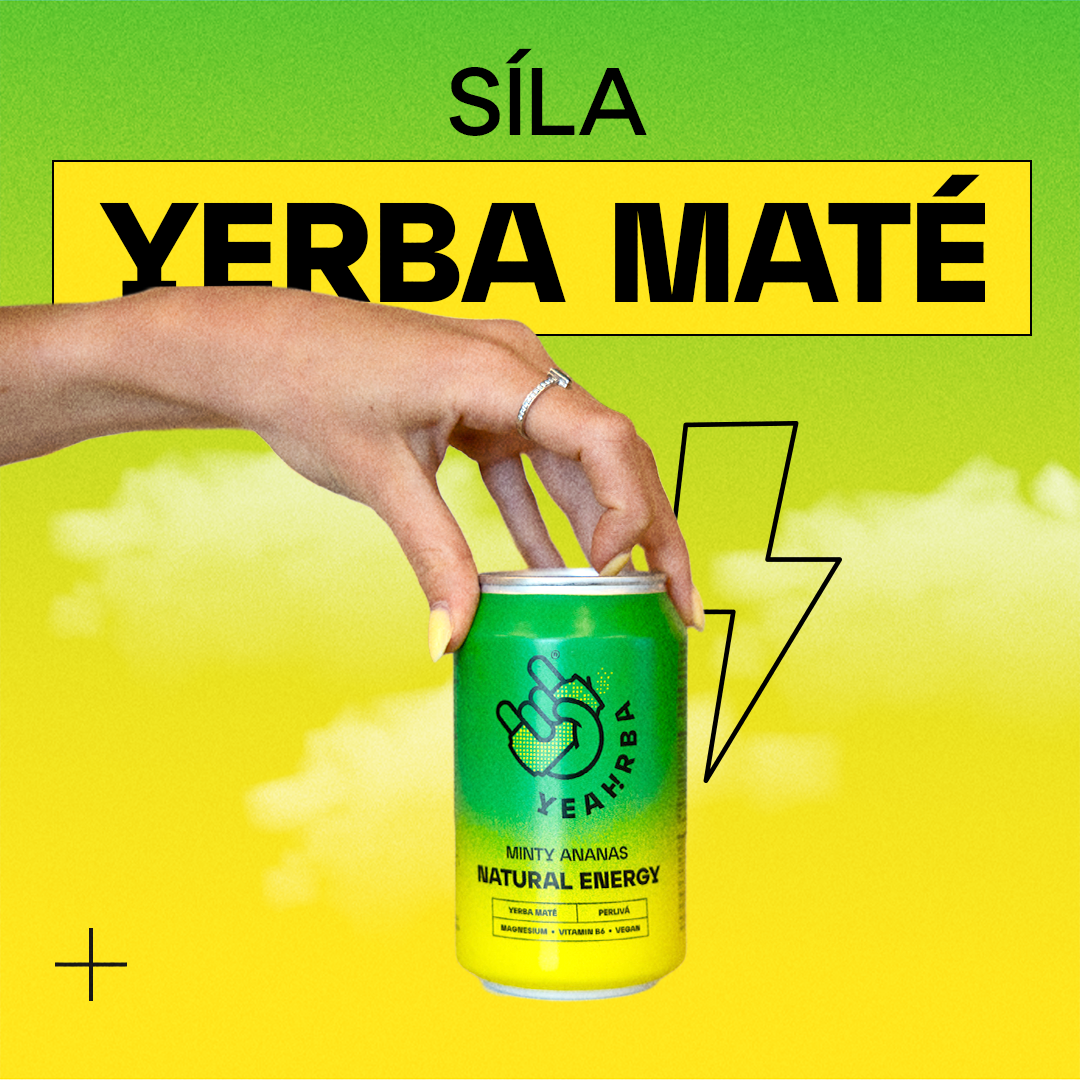 Síla yerba mate